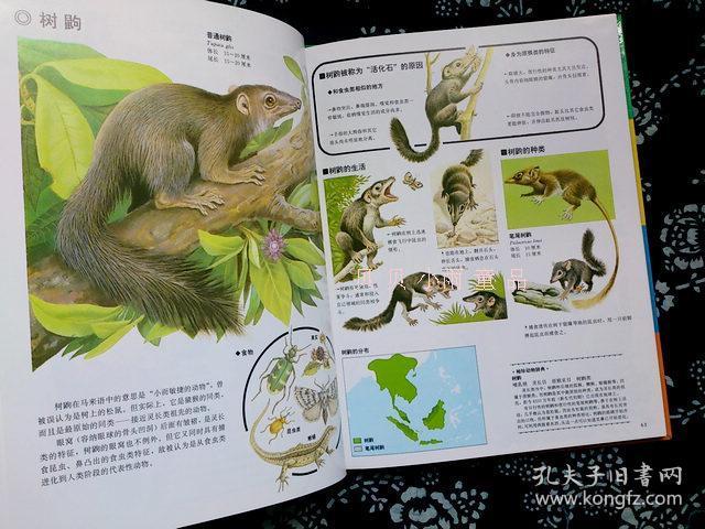 绝版世界动物图鉴第三辑哺乳动物4册台湾光复引进