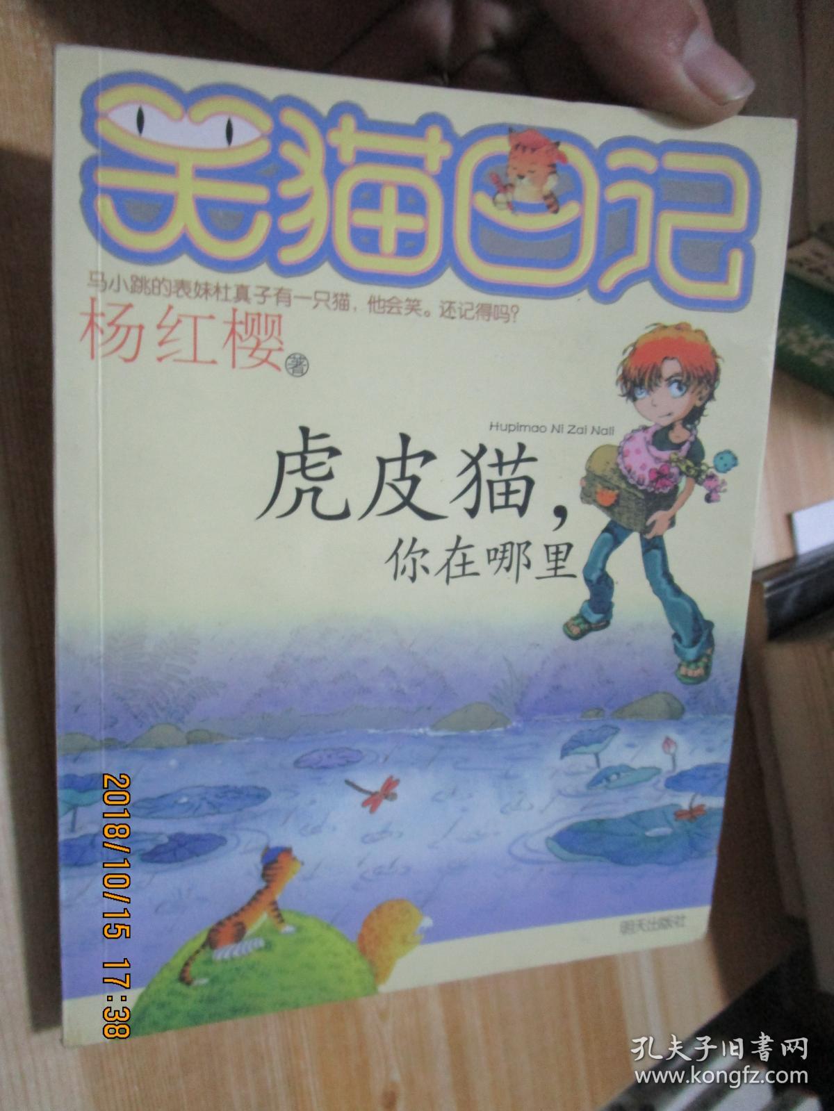 笑猫日记·虎皮猫你在哪里