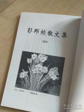 彭邦桢文集(卷四)彭邦桢散文集