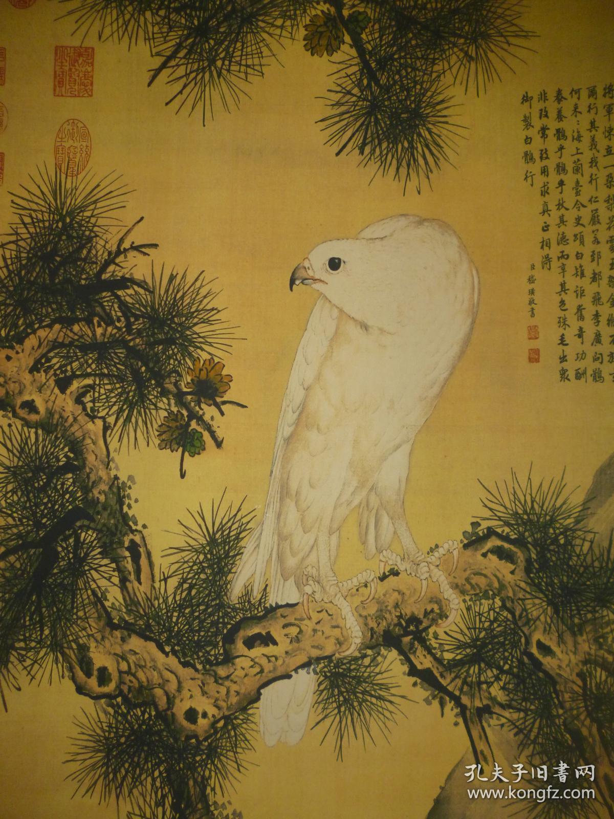 郎世宁国画鹰镜心11849cm有多枚铭印估计是高仿包手绘