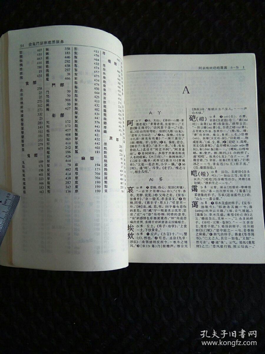 目录 凡例汉语拼音音节索引部首检字(一)部首目录(二)检字表字典