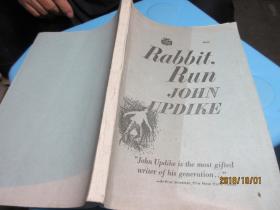 rabbit,run  3082