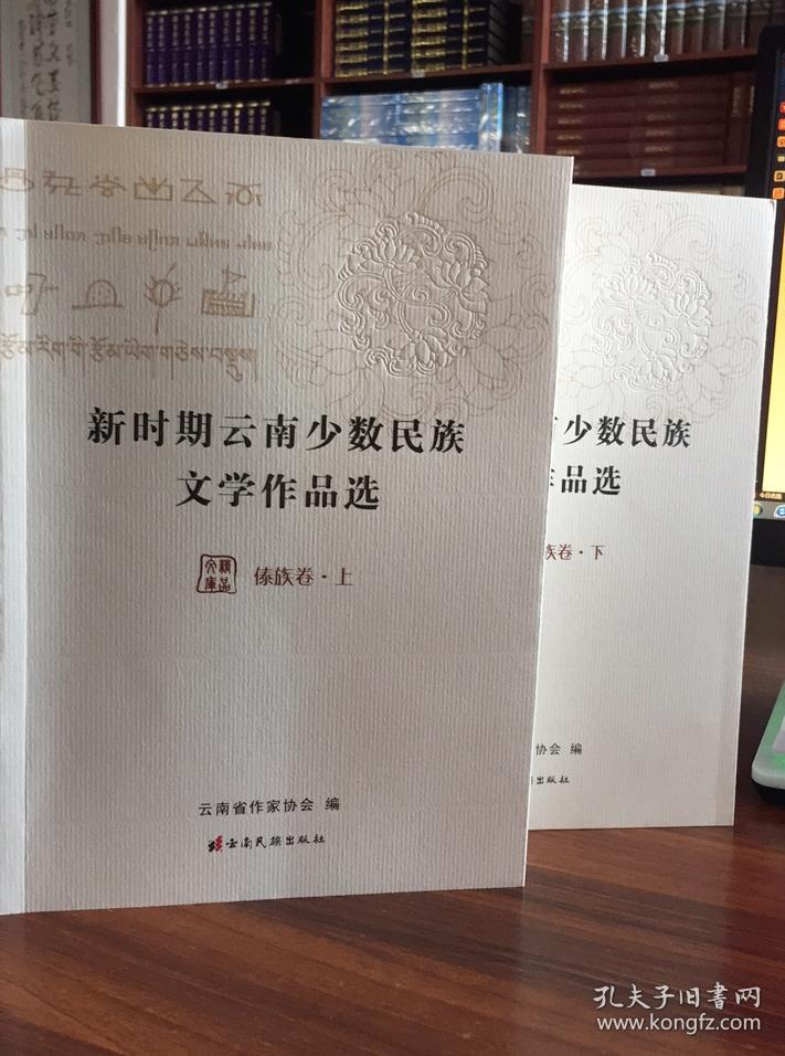 新时期云南少数民族文学作品选傣族卷全两册