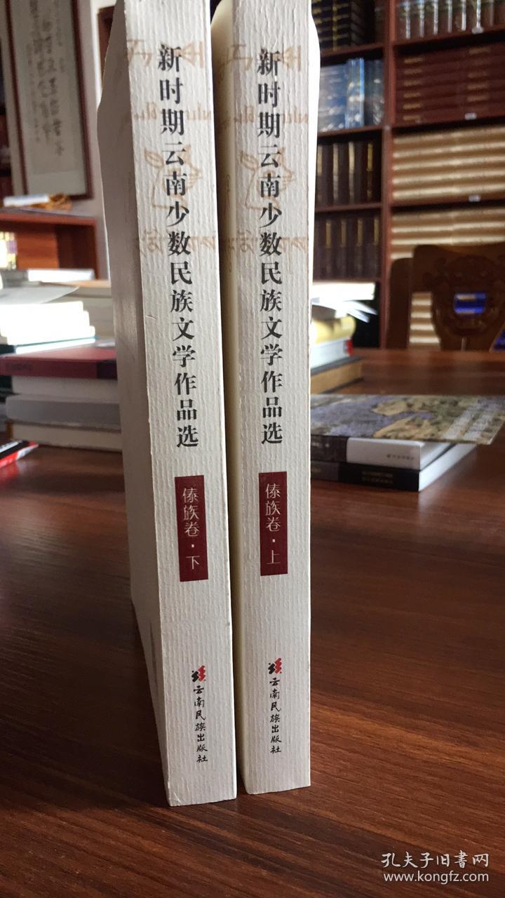 新时期云南少数民族文学作品选傣族卷全两册