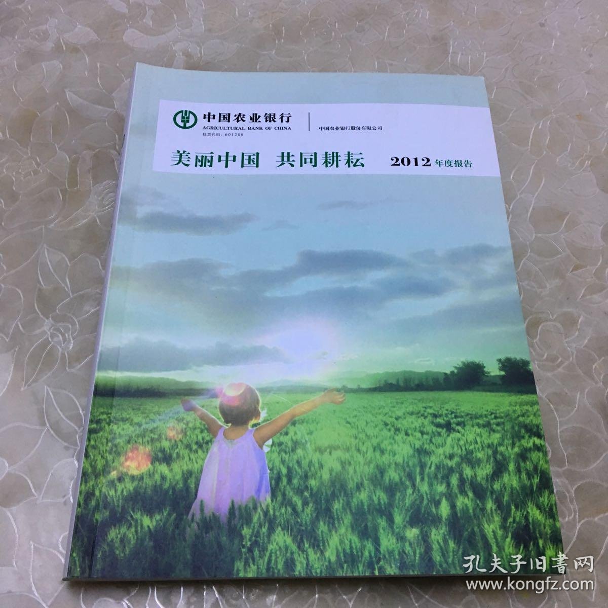 中国农业银行美丽中国共同耕耘2012年度报告