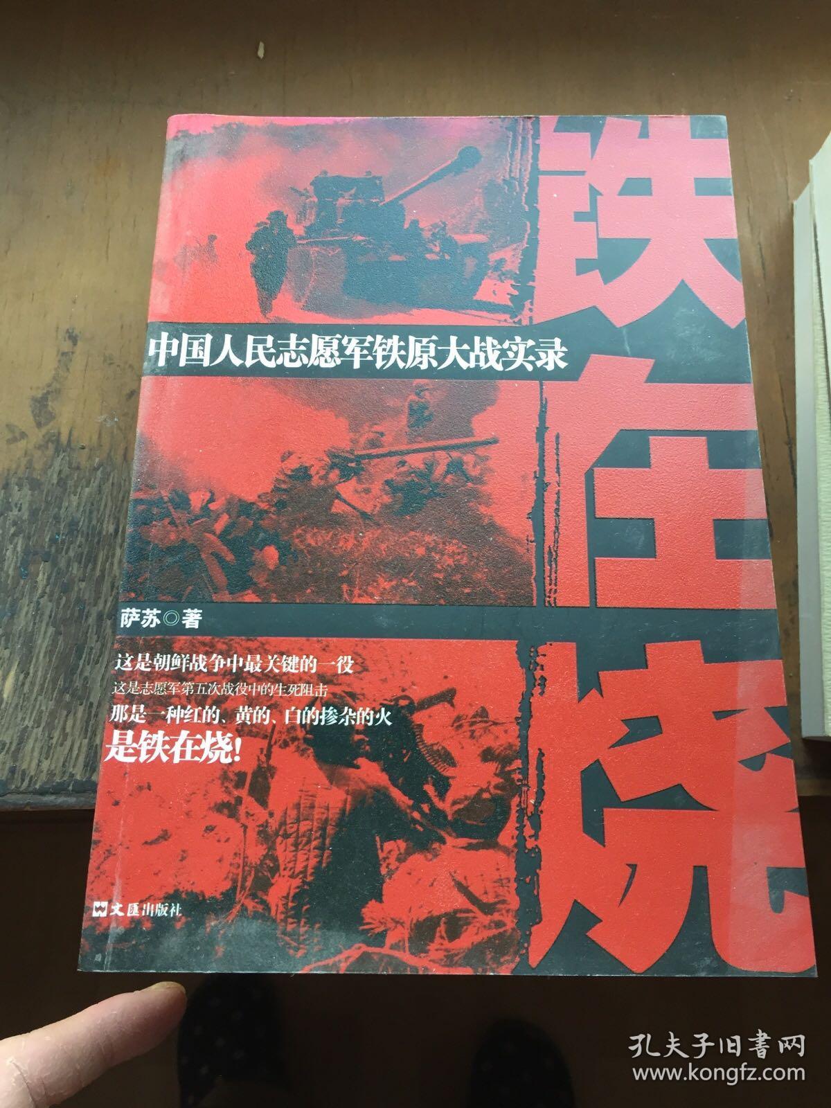 铁在烧(萨苏 著)_简介_价格_军事书籍_孔网