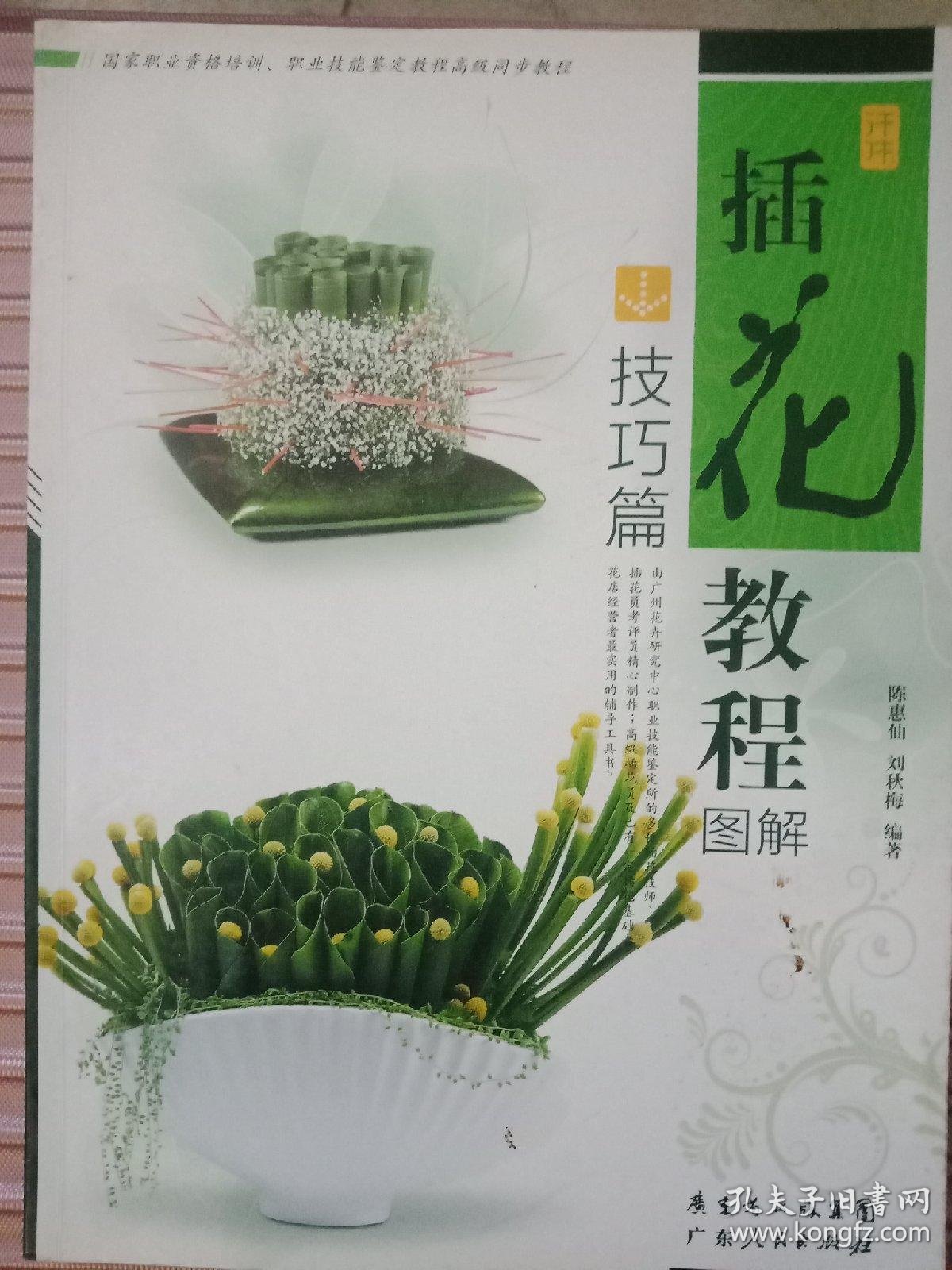 插花教程图解·入门篇 铜版彩印