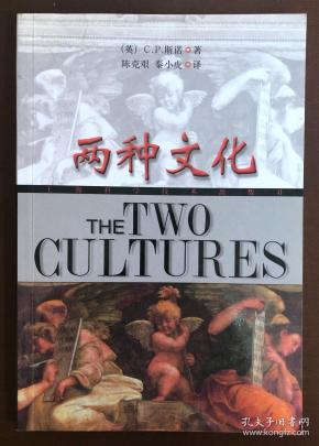 两种 文化