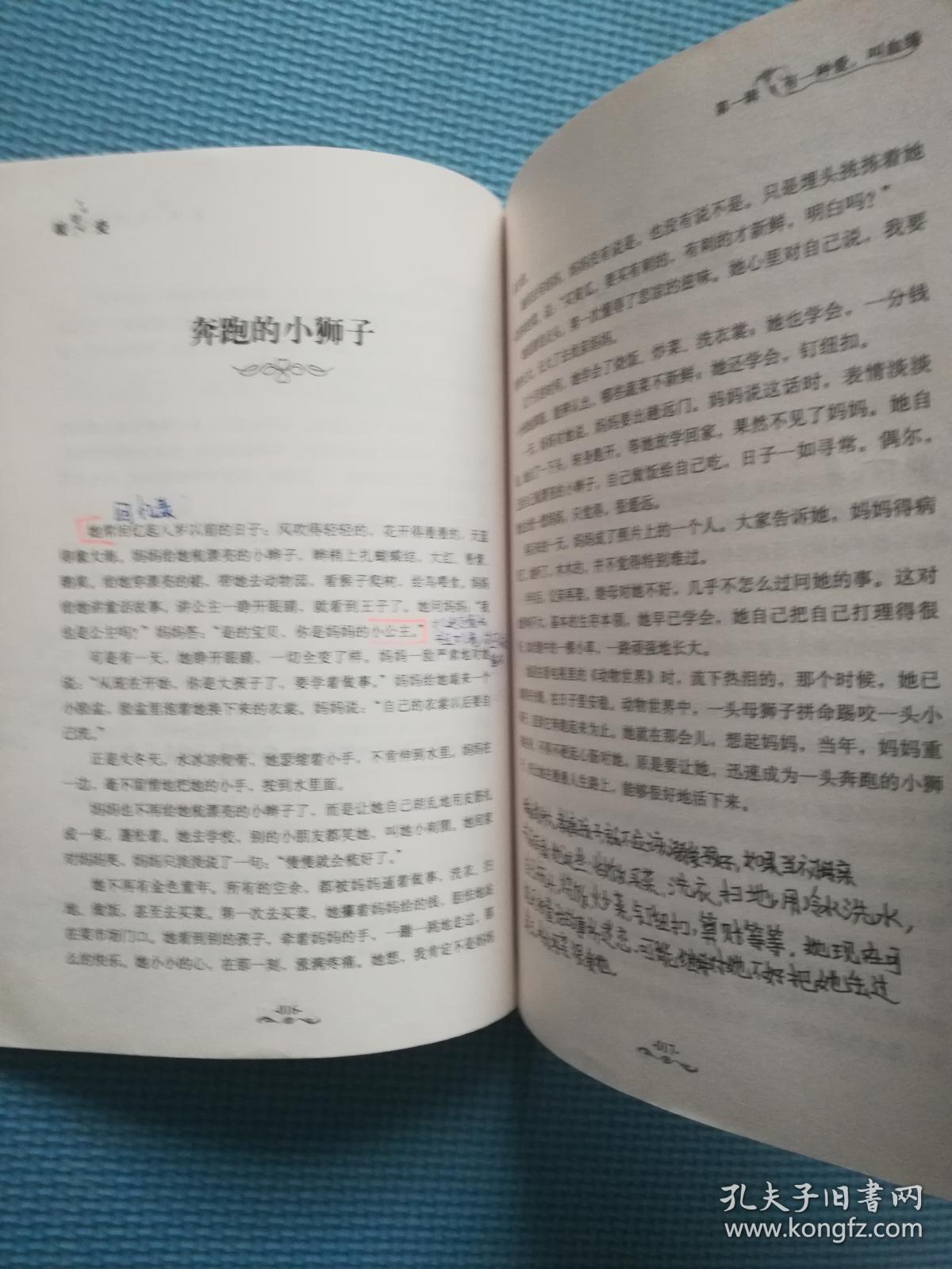 丁立梅精品十年精选集:暖爱