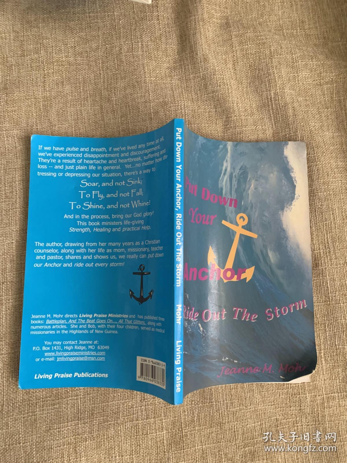 ride out the storm 英文原版