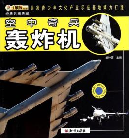 经典兵器典藏：空中奇兵轰炸机