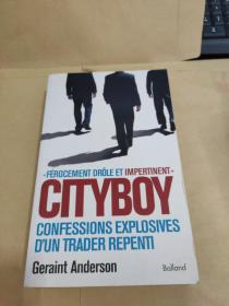 Cityboy: Beer and Loathing in the Square Mile 城市男孩