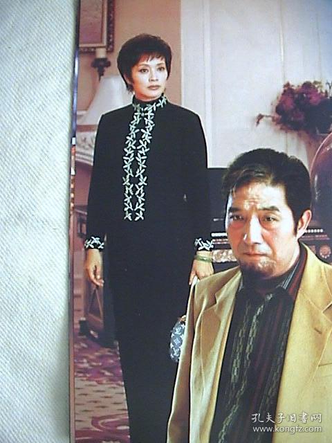 刘晓庆,沈晓海,高兰村,魏小军《家族的荣誉》 官方8页16面画册