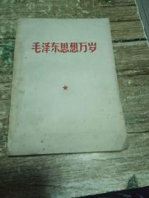 毛泽东思想万岁  0.6公斤  书架1