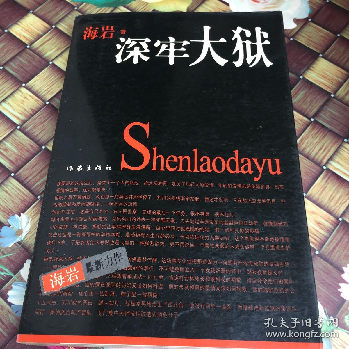 深牢大狱:海岩最新力作