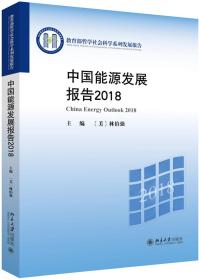 正版新书  2018中国能源发展报告