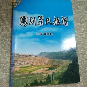 翟氏族谱