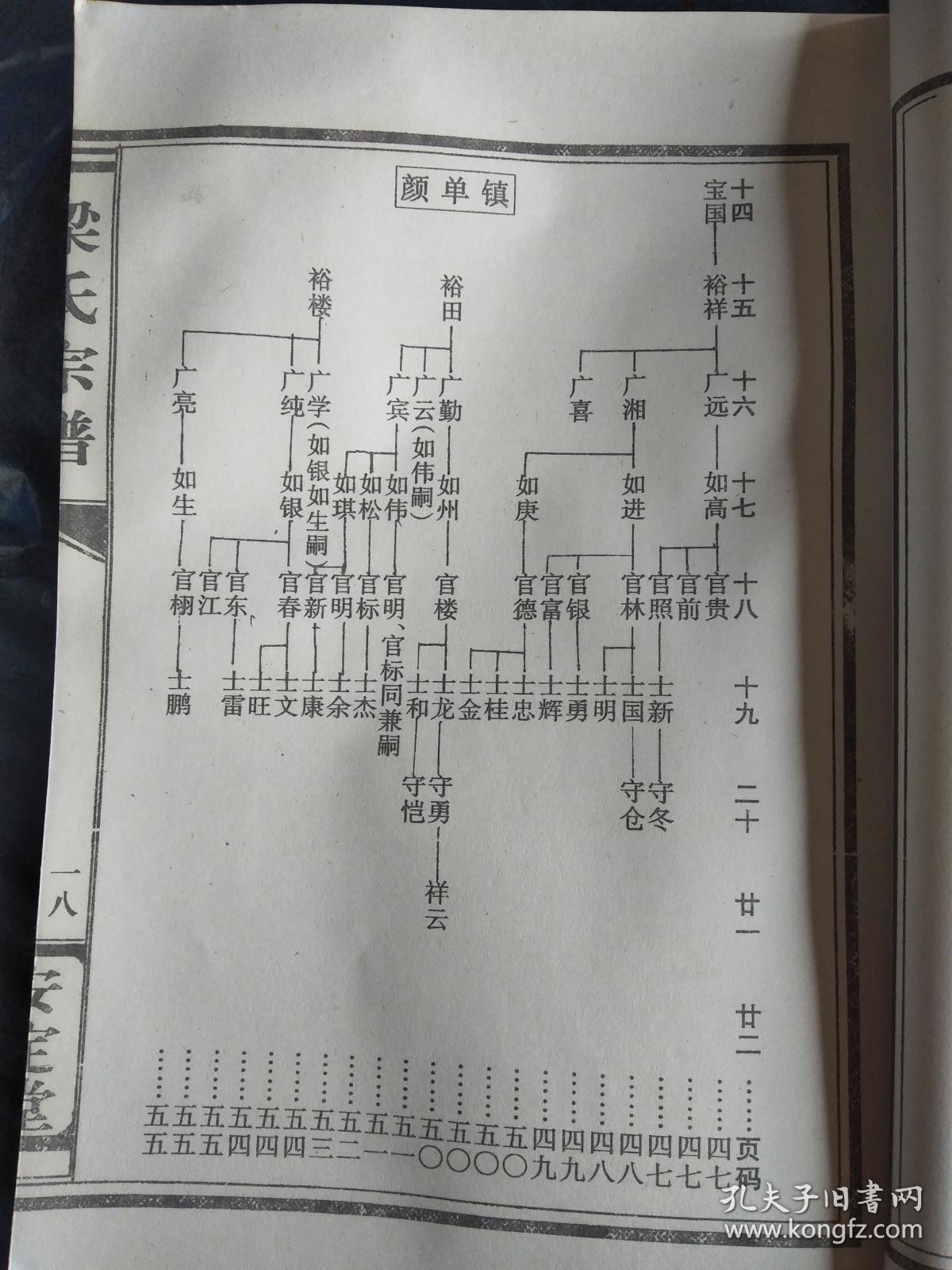 提供资料信息服务梁氏宗谱安定堂本颜单沿河仲芳公支16开196页2001年