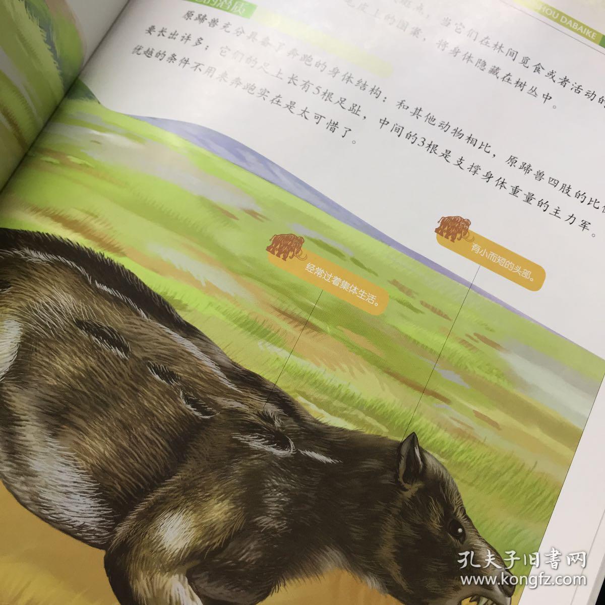 彩书坊:史前怪兽大百科