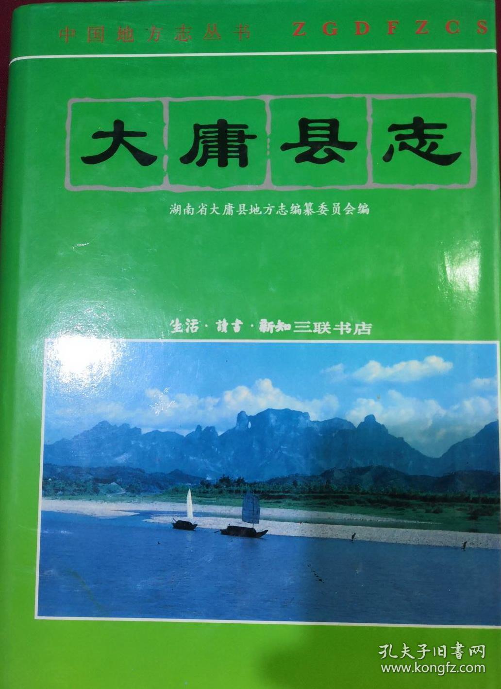 大庸县志 生活·读书·新知 三联书店 1995版 正版