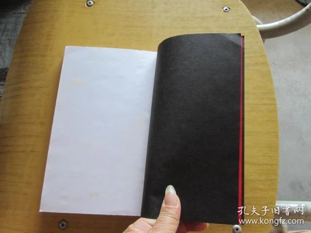 维特根斯坦的拨火棍:两位大哲学家十分钟争吵的故事