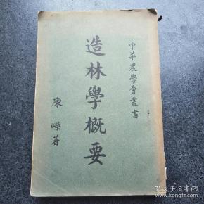 西园夜饮的书摊