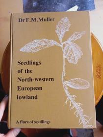 Seedlings of the North-Western European Lowland
