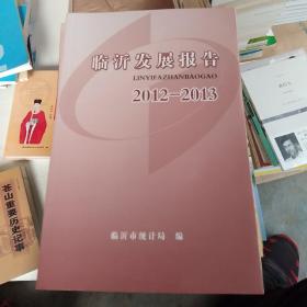 临沂发展报告2012-2013