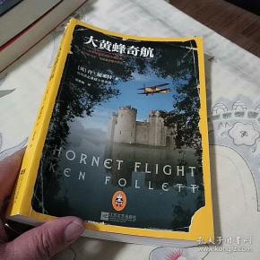 大黄蜂奇航:肯·福莱特历史悬疑小说经典