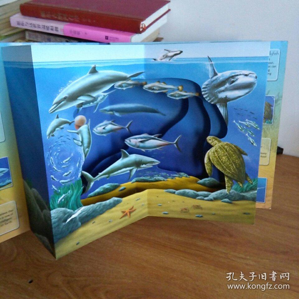 (立体书)3d wild ocean 海洋