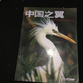 中国之翼