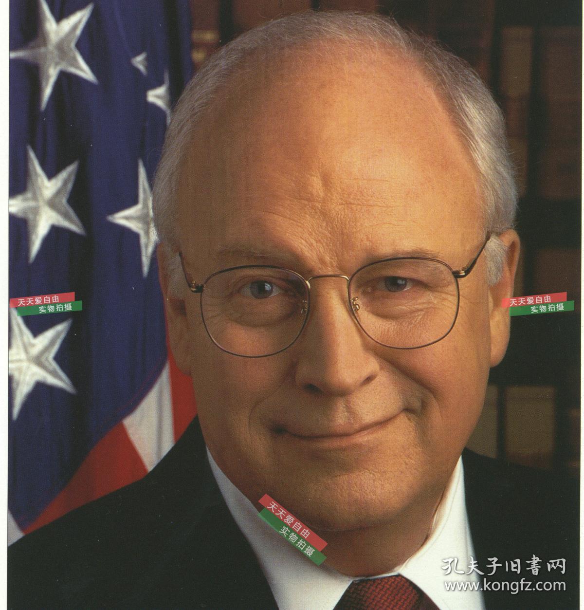 小树丛总统老布什和小布什的副总统总统签名世界有史以来最厉害的政治