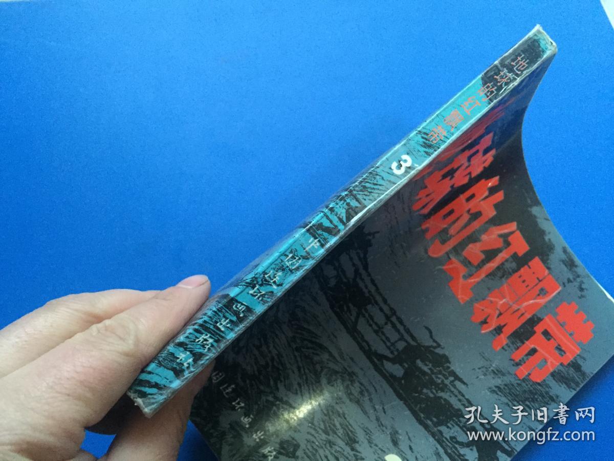 地球的红飘带 3(1994年3月1版3印)