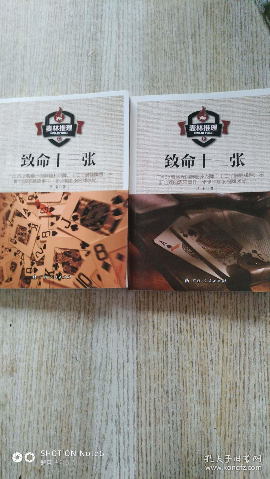 麦林推理致命十三张上下