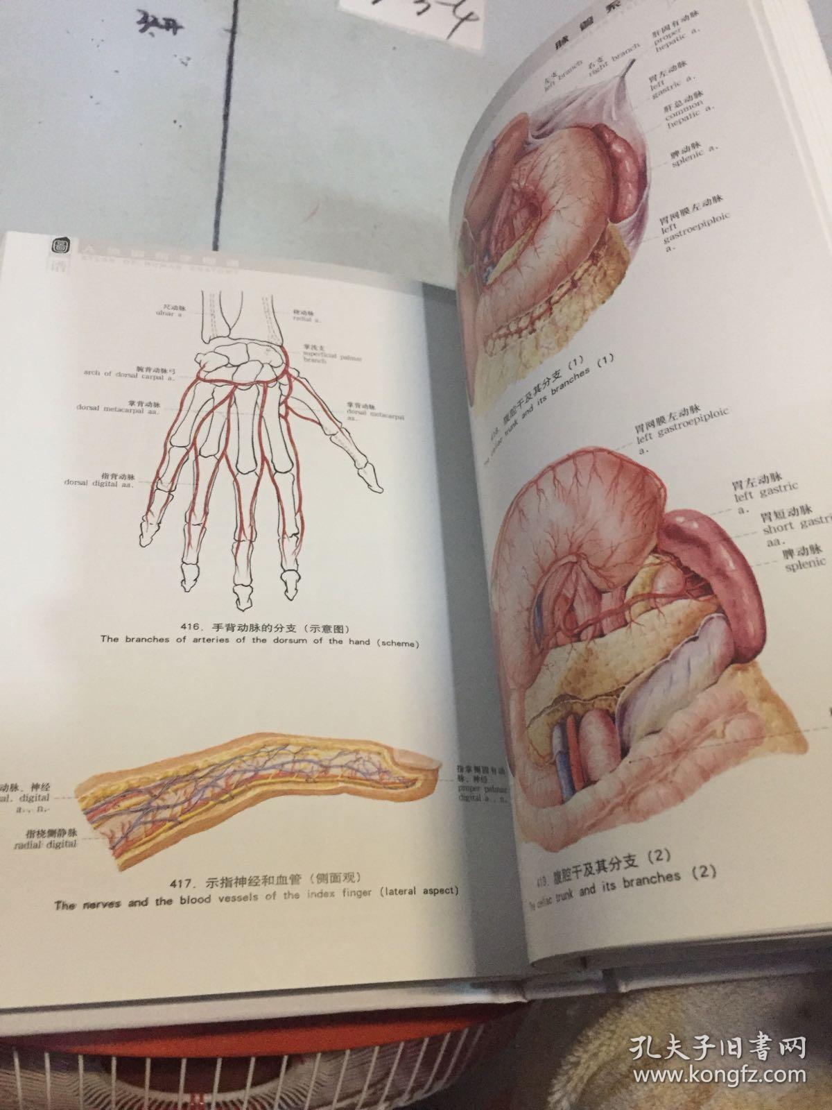 人体解剖学图谱 精装