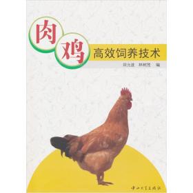 养鸡技术书籍 肉鸡高效饲养技术