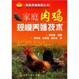 养鸡技术书籍 家庭肉鸡规模养殖技术