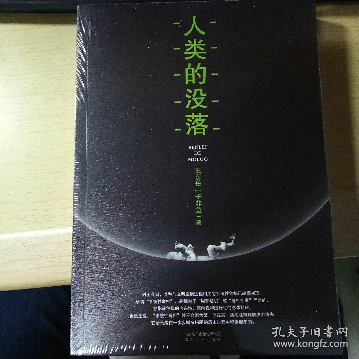 人类的没落(王东岳 著)_简介_价格_社会文化书籍_孔网