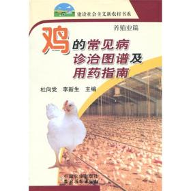 养鸡技术书籍 鸡的常见病诊治图谱及用药指南（养殖业篇）