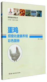养鸡技术书籍 畜禽规模化养殖丛书：蛋鸡规模化健康养殖彩色图册