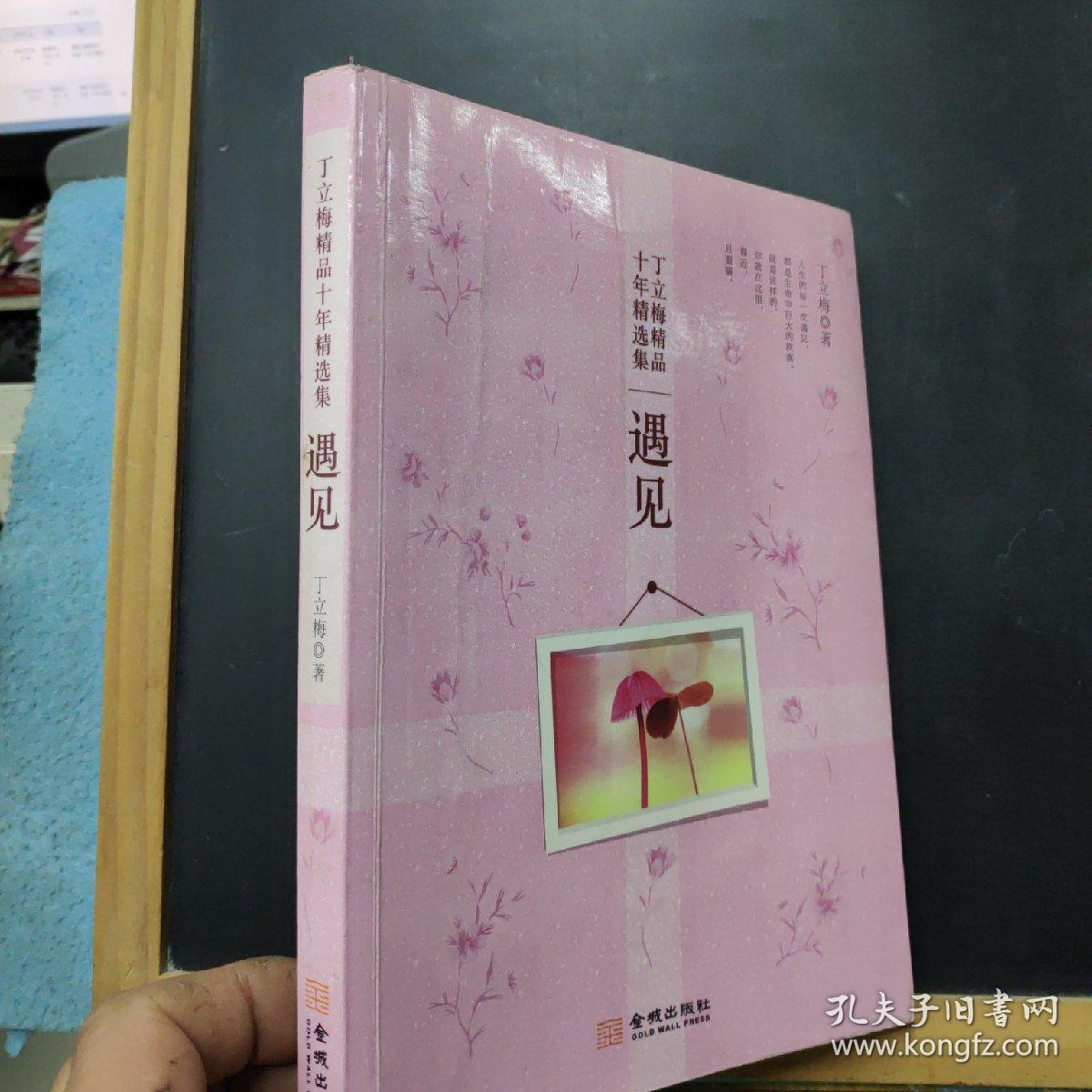 丁立梅作品十年精选集:遇见