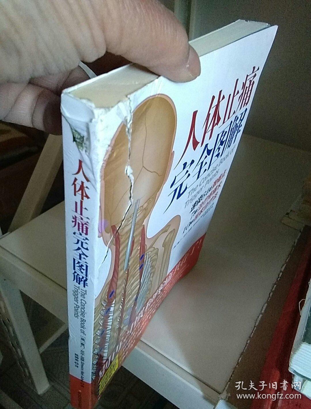 人体止痛完全图解