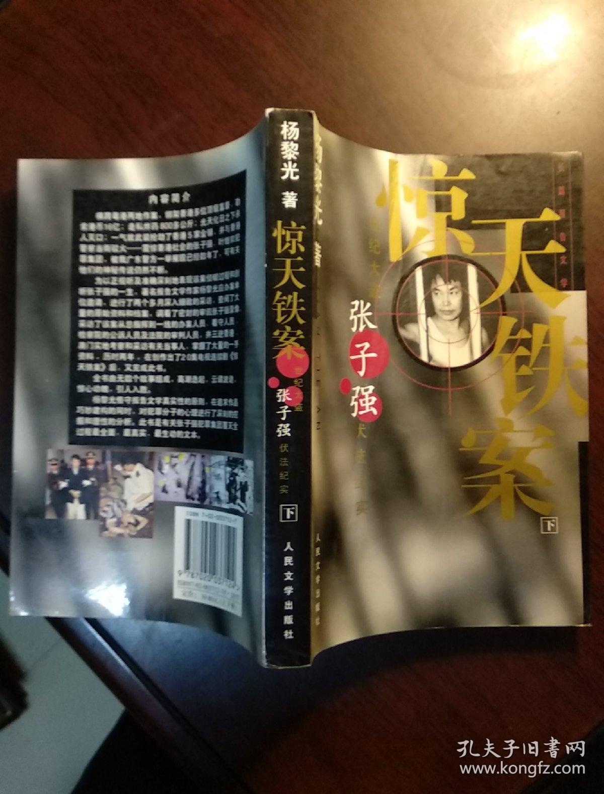 惊天铁案(下册)