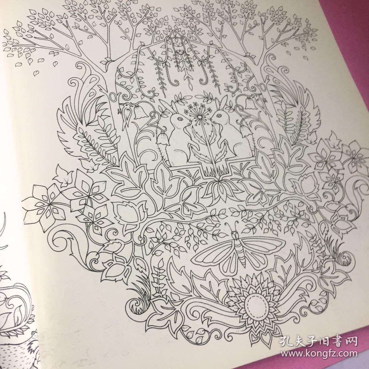 魔法森林(秘密花园2)