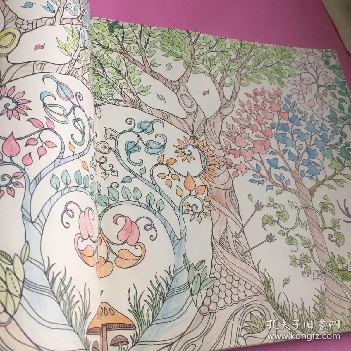 魔法森林(秘密花园2)