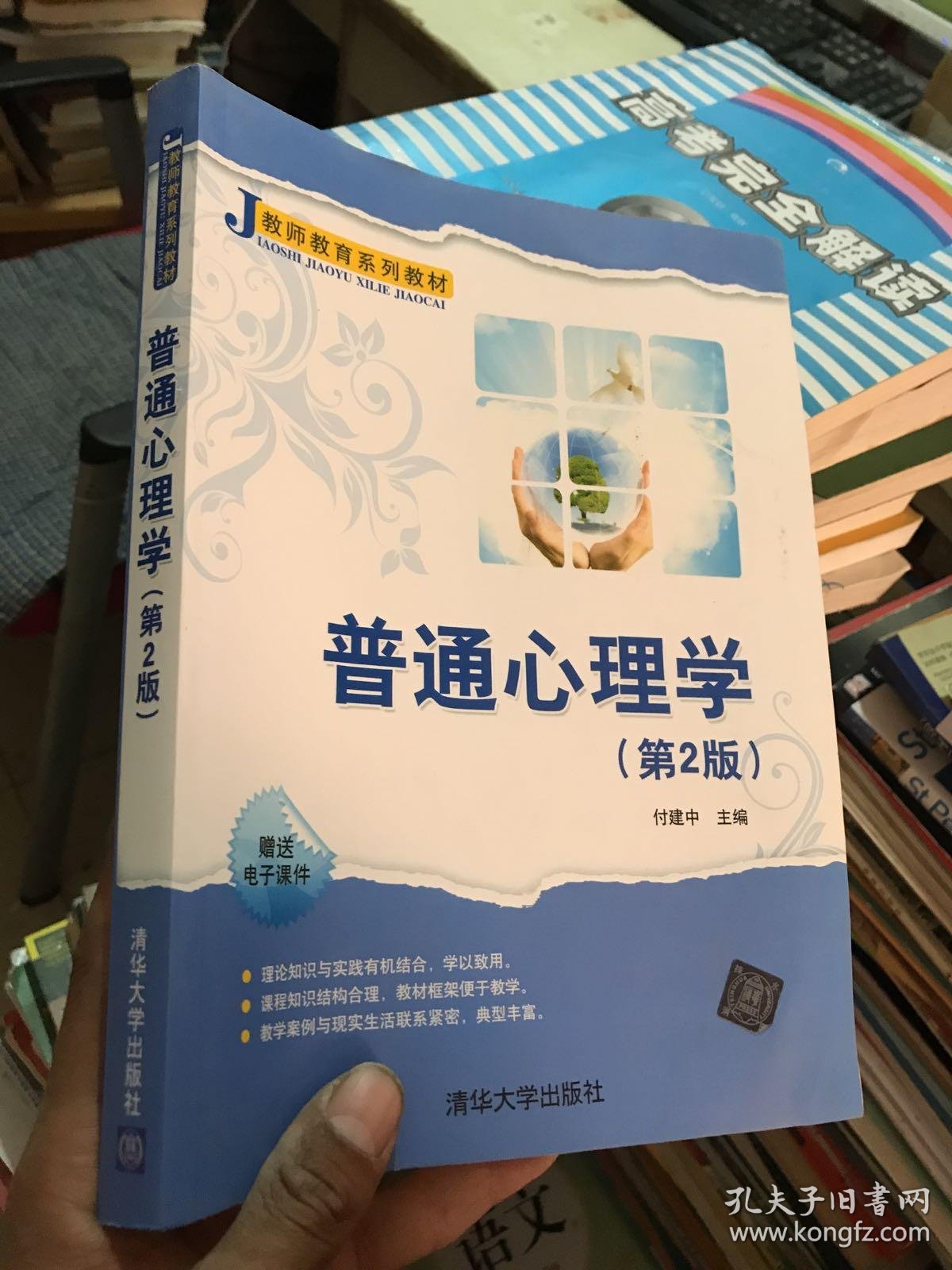 普通心理学(第2版)/教师教育系列教材