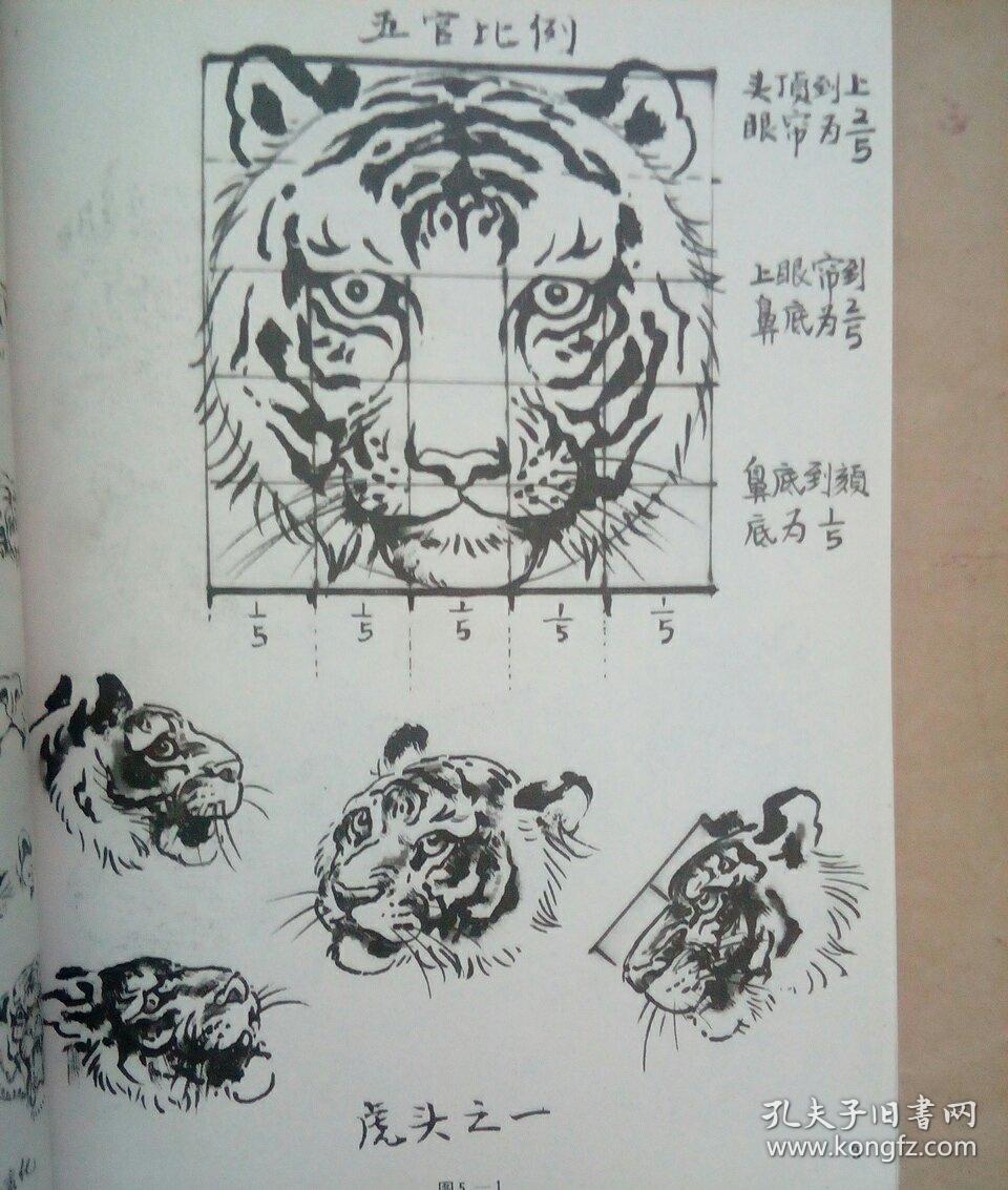 美术技法大全-老虎画法