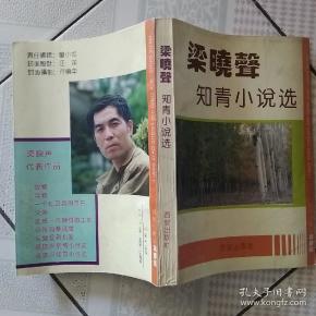 梁晓声 知青小说选