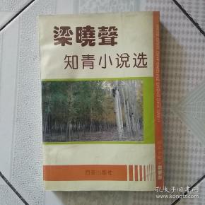 梁晓声 知青小说选