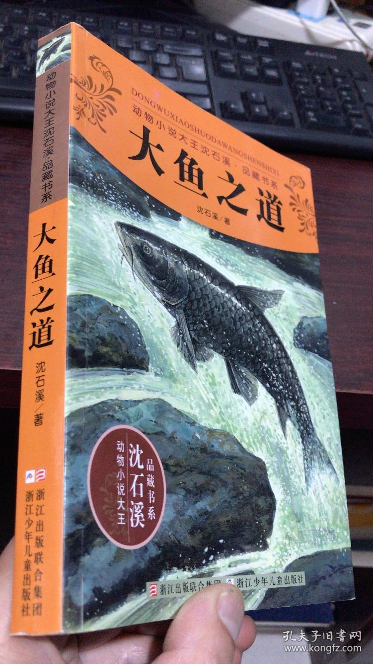 动物小说大王沈石溪·品藏书系:大鱼之道
